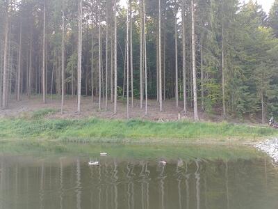 20250814 VJ IMG 20250814 165453 HDR